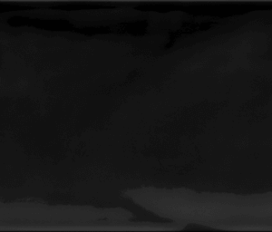 Monochrome
