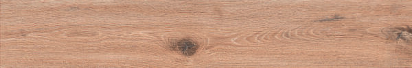Maple